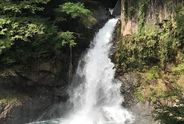 河津七滝の写真・動画_image_311014