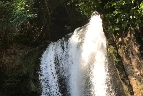 河津七滝の写真・動画_image_311018