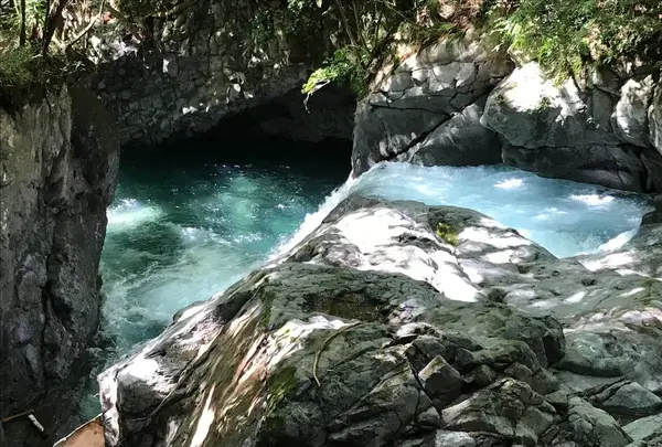 河津七滝の写真・動画_image_311020