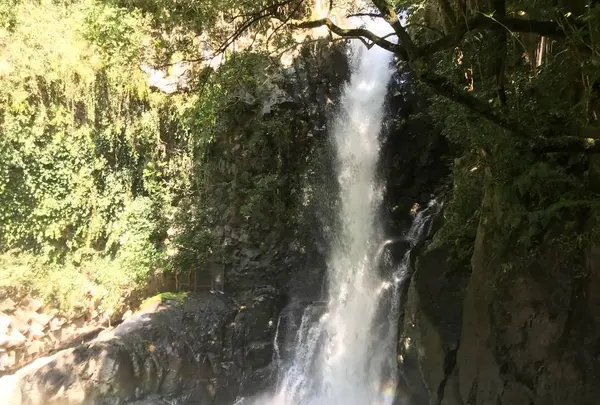 河津七滝の写真・動画_image_311021