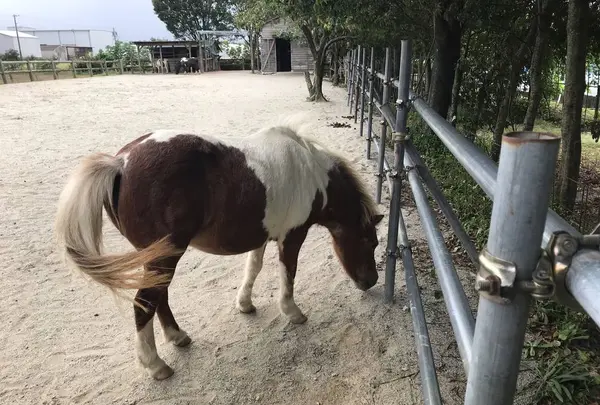 松幸農産これから村の写真・動画_image_311024
