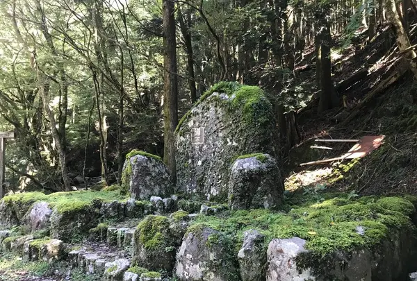 旧天城トンネルの写真・動画_image_311080