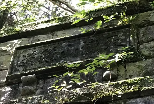 旧天城トンネルの写真・動画_image_311083
