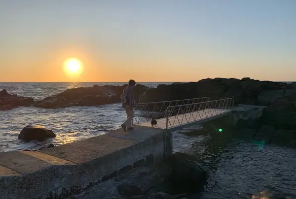 黄金岬