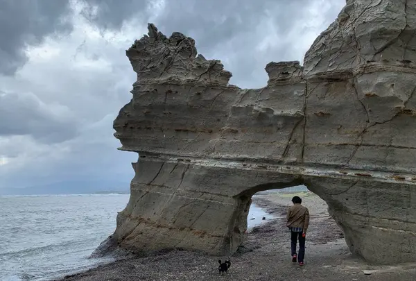 函館の写真・動画_image_311135