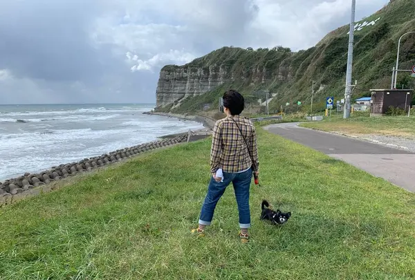 函館の写真・動画_image_311136