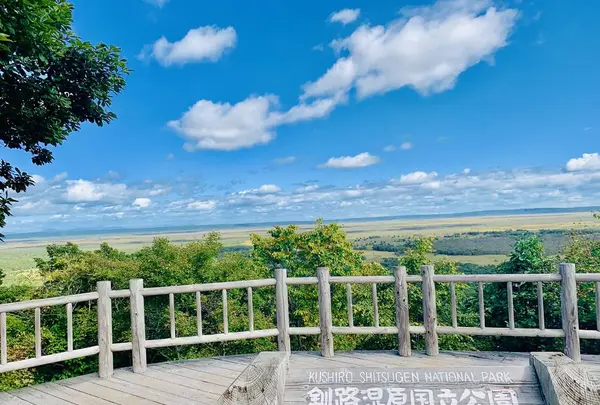 釧路市湿原展望台の写真・動画_image_311150