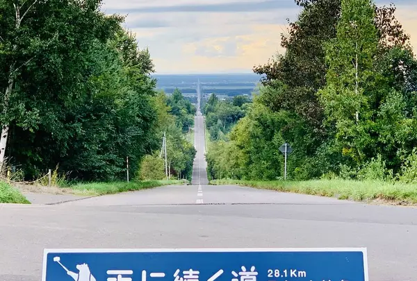 天に続く道の写真・動画_image_311167