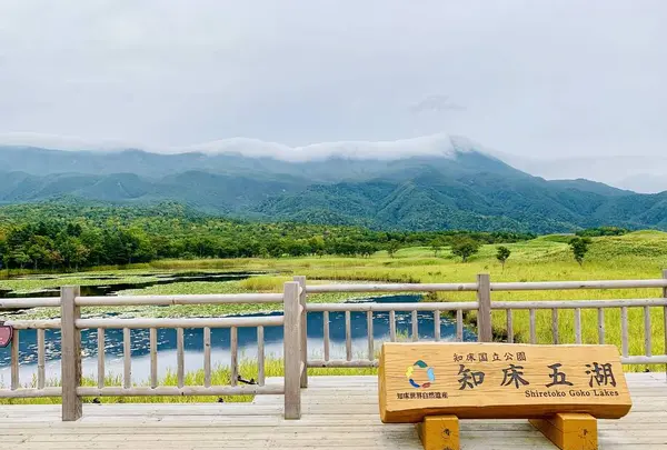 知床五湖の写真・動画_image_311440