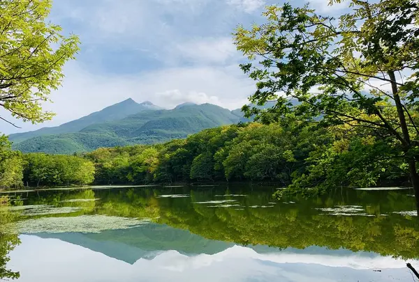 知床五湖の写真・動画_image_311441
