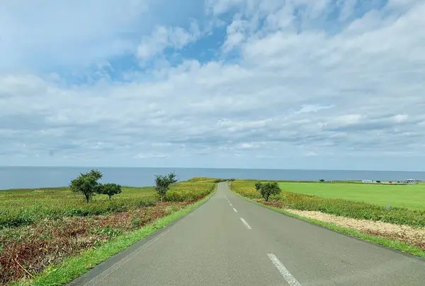 能取岬の写真・動画_image_311477