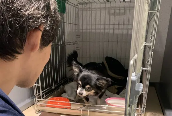 大洗港フェリーターミナルの写真・動画_image_311531