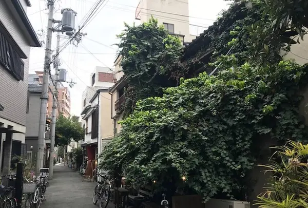 Salon de AManTo 天人の写真・動画_image_311638