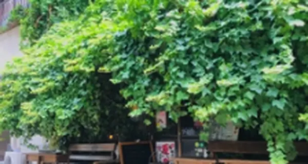 Salon de AManTo 天人の写真・動画_image_311645