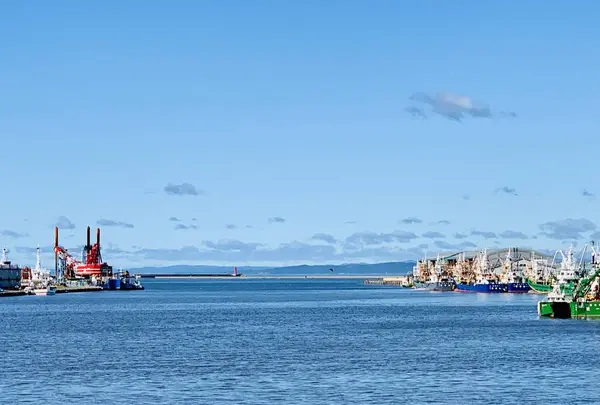 幣舞橋の写真・動画_image_311992