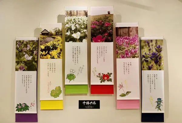 六花の森の写真・動画_image_311998