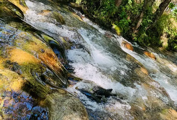 六花の森の写真・動画_image_312010