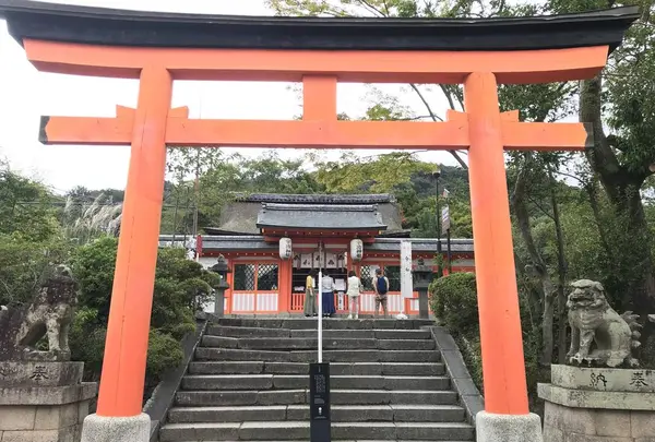 宇治神社の写真・動画_image_312032