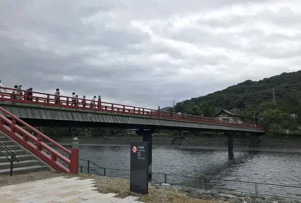 朝霧橋の写真・動画_image_312044