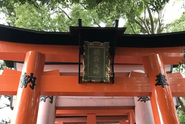 千本鳥居の写真・動画_image_312083