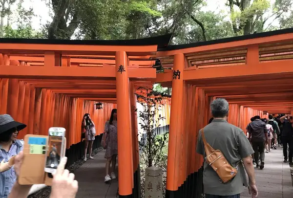 千本鳥居の写真・動画_image_312084