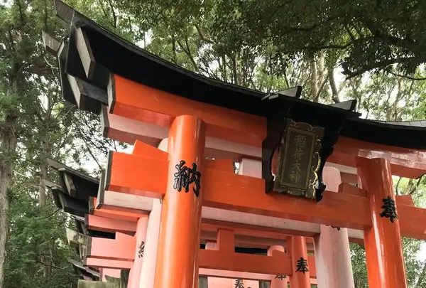 千本鳥居の写真・動画_image_312085