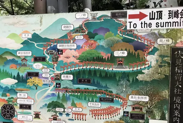 千本鳥居の写真・動画_image_312086