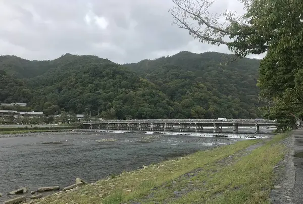 渡月橋の写真・動画_image_312120