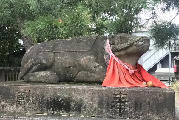 北野天満宮の写真・動画_image_312139
