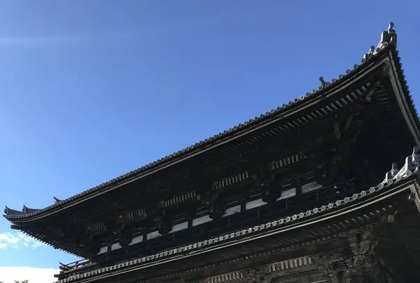 仁和寺の写真・動画_image_312164