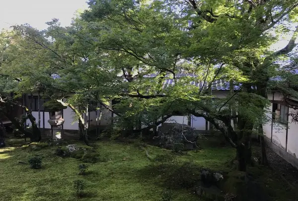 仁和寺の写真・動画_image_312165