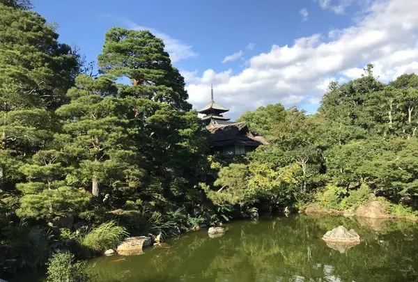 仁和寺の写真・動画_image_312166