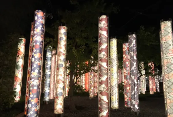 キモノフォレストの写真・動画_image_312185