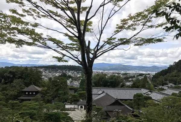 銀閣寺(東山慈照寺)の写真・動画_image_312198