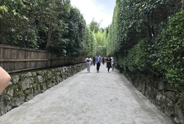 銀閣寺(東山慈照寺)の写真・動画_image_312201