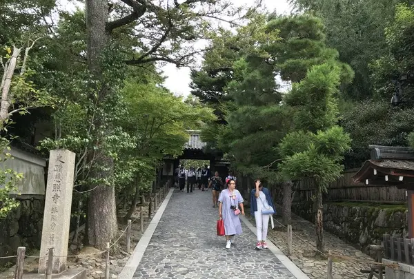 銀閣寺(東山慈照寺)の写真・動画_image_312202