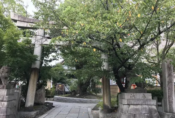 安井金比羅宮の写真・動画_image_312237