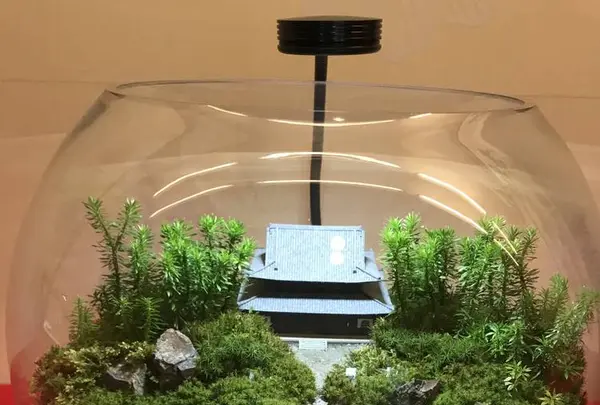 建仁寺の写真・動画_image_312243