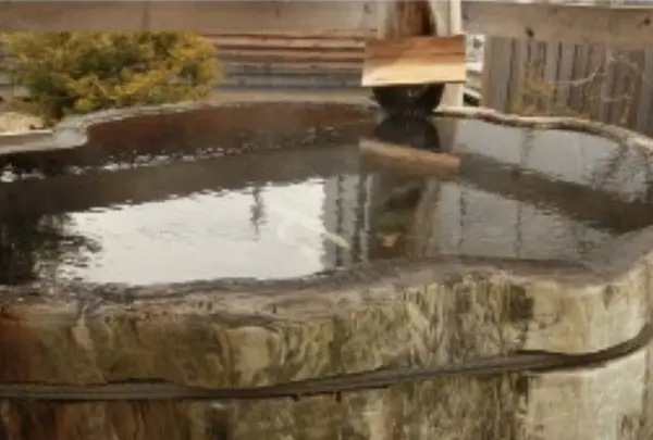 湯宿だいいちの写真・動画_image_312543