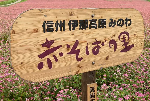令和初秋🍁(Ⅱ)