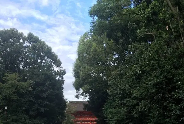 下鴨神社（賀茂御祖神社）の写真・動画_image_312779