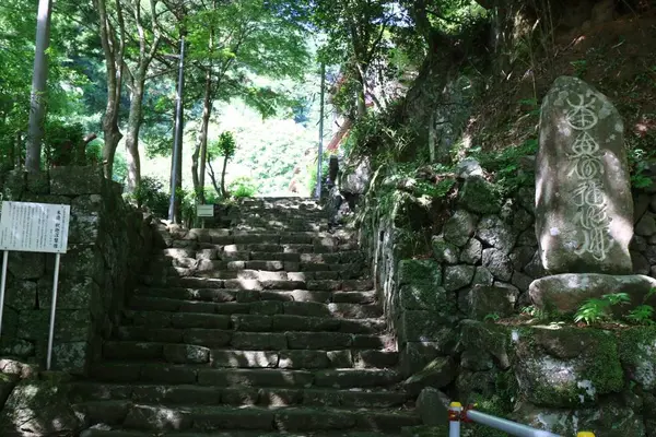 茶湯寺の写真・動画_image_312910