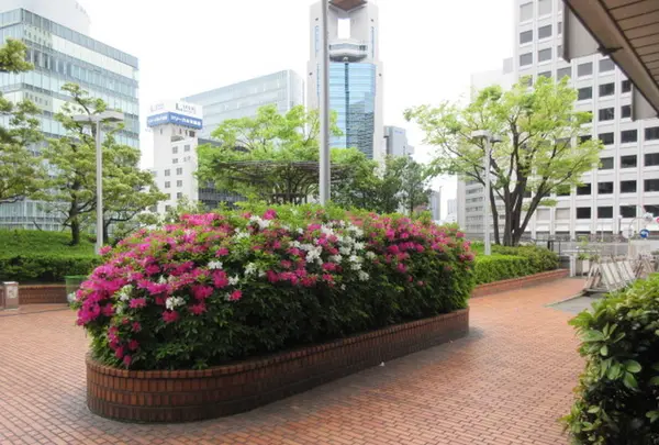 大阪駅前第1ビルの写真・動画_image_313039