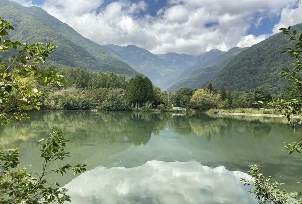 駒ケ池の写真・動画_image_313068