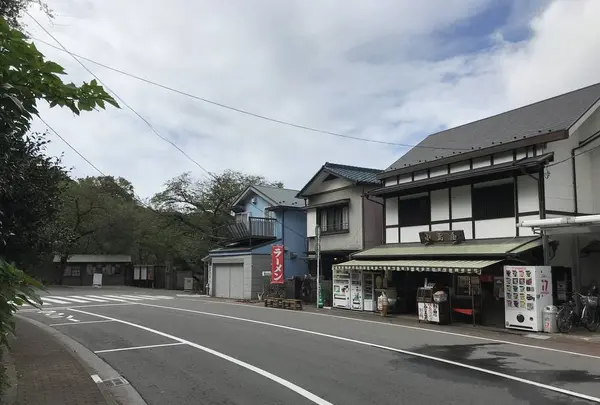 本牧市民公園の写真・動画_image_313137
