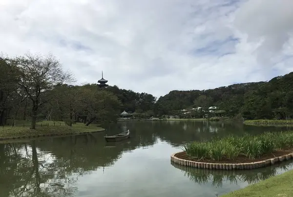 本牧市民公園の写真・動画_image_313148