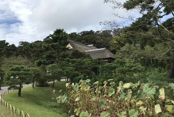 本牧市民公園の写真・動画_image_313159