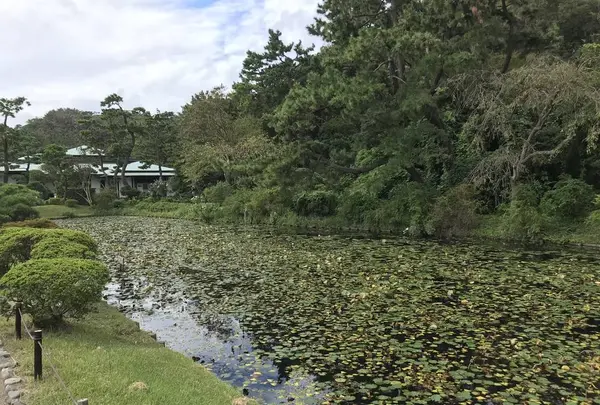 本牧市民公園の写真・動画_image_313162