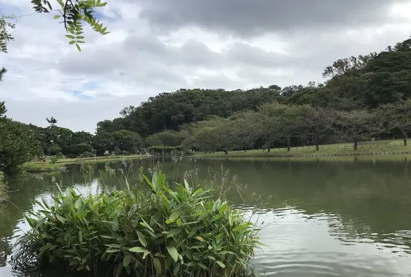 本牧市民公園の写真・動画_image_313166