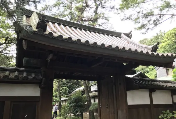 本牧市民公園の写真・動画_image_313169